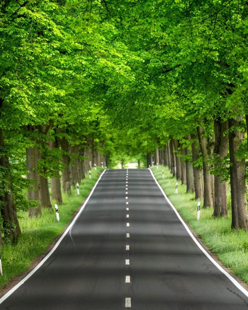 eco photo
